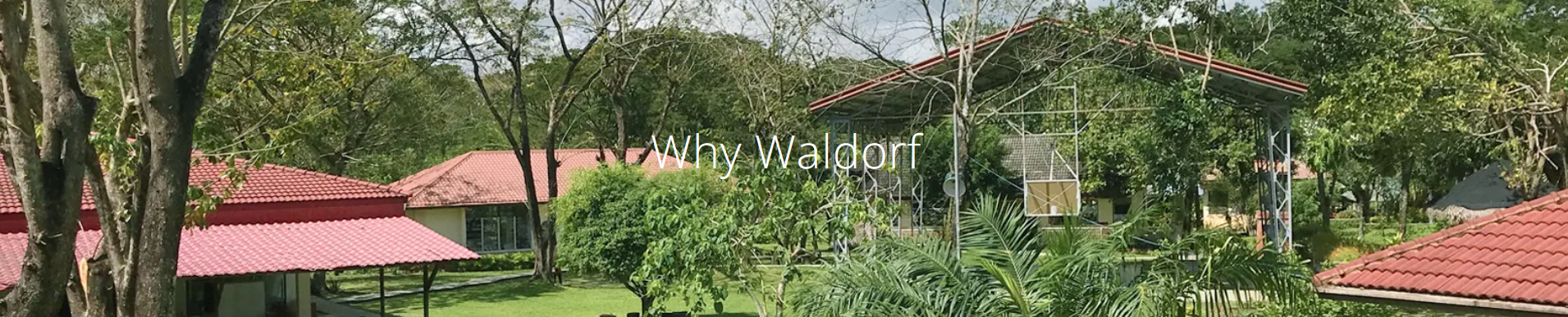 Why Waldorf