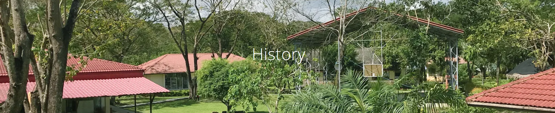 History
