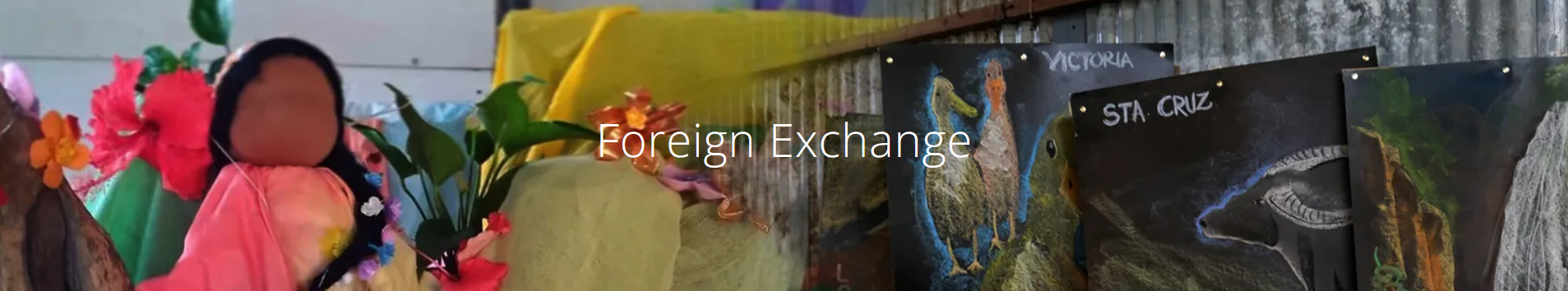 Foreign Exchange